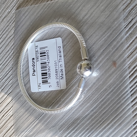 Nwt Silver Pandora Moments Charm Bracelet